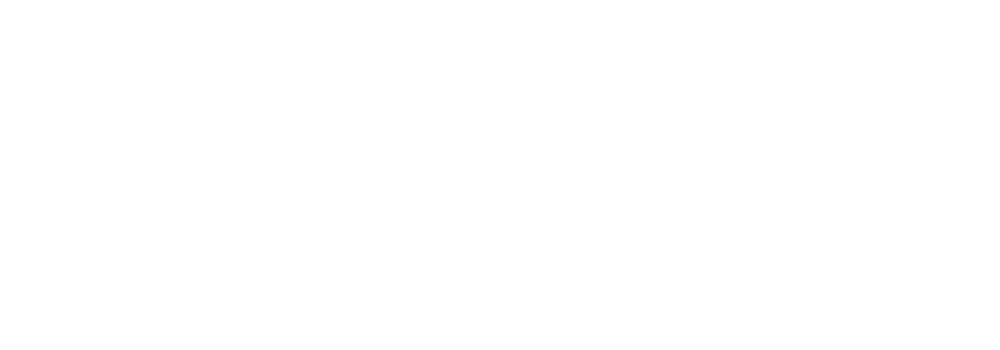 MAISON DIANA AESTHETICS Logo