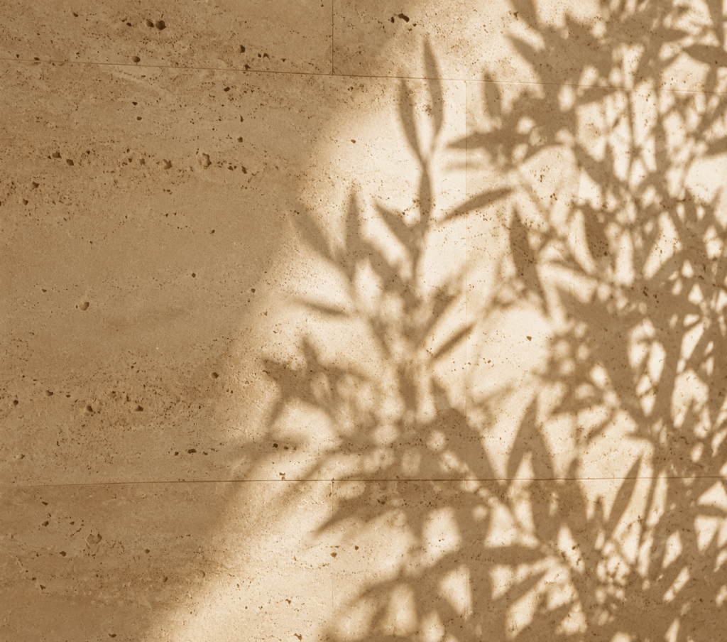 Ombre botaniche su parete in pietra chiara